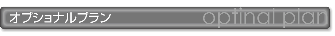 オプショナルプラン